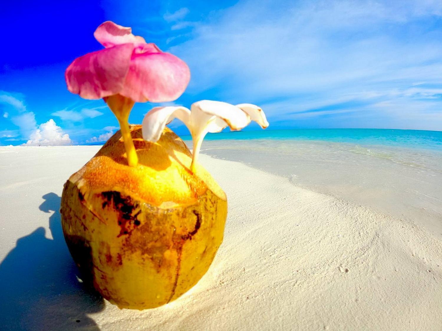 Wind Breeze Sunset View Inn Guraidhoo  Exterior foto